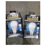 2 LED Battery Backup Bulbs