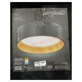 Led Ceiling Light