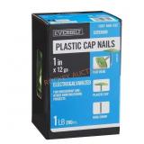 1 in. x 2D Electro-Galvanized Nails, 1 lb (280)