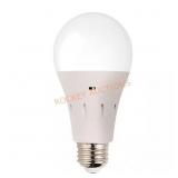60-Watt A15 LED Light Bulb with Backup Battery