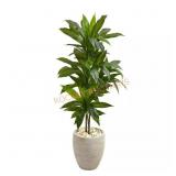 Nearly Natural 4-ft Dracaena Plant has slight dam