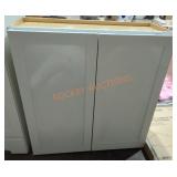 30" x 12" x 30" Wall Cabinet