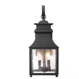 Rainbrook 18-in. 2-Light Exterior Fixture