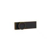 Anthem Plus Digital Control in Brushed Brass