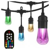Black Vintage LED String Lights 12-Bulb, 24ft