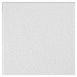 Sand Pebble White Ceiling Tile (40 sq ft) (12 x B