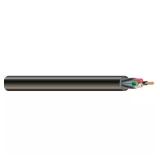 100 ft 6/4 600V CU Black SOOW Cord