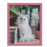 Modern 11 in. x 14 in. Hot Pink Picture Frame