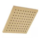 1-Spray Shower Head, 8.8 in., Matte Gold