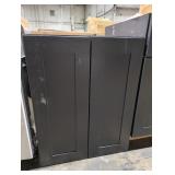24" x 30" x 12" Blue Wall Cabinet