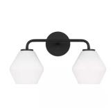Jett 17 in. 2-Light Vanity Light