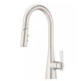 Exemplar Single-Handle Pull-Down Faucet