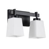 11.8 in. 2-Light Black Vanity Light