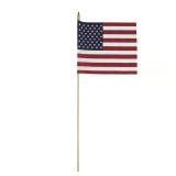 Valley Forge American Flag 8 in. H x 12 in. W
