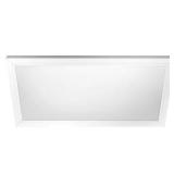 Commercial Electric 1x2 LED Panel (2000 lm)