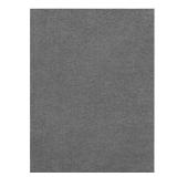 TrafficMaster Unbound Smoke Gray Rug 6x8 ft