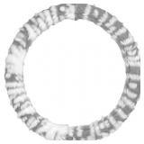 Bell Auto Moxie White steering wheel cover