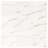 White Calacatta Bianco Porcelain Tiles, 22 Cases.