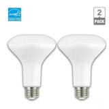 90-Watt BR30 Dimmable LED Flood Bulb (2-Pack)