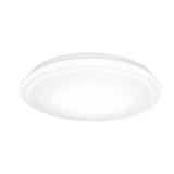 Commercial Electric 20 in. LED Flush Mount