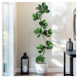 7FT Fiddle Leaf Fig Tree in Black Planter