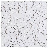 USG Ceilings 2x4 Fifth Ave White Tile (12XBID