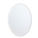20 in. W x 27 in. H Vanity Mirror