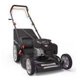 Briggs & Stratton 21" Just Check & Add Mower
