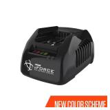 eFORCE 56V Standard Charger