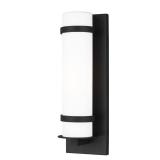 Alban 1-Light Black Outdoor Wall Lantern