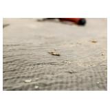 200-ft Clear Carpet Accessory