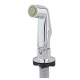 Side Spray with Guide, Chrome