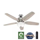 Hunter Channing 54in Brushed Nickel Fan