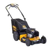 DEWALT 21" 163cc Briggs & Stratton Lawn Mower