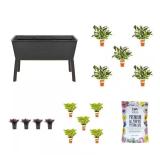Resin Garden Bed Kit: Hosta & Setcreasea Combo