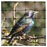 100 ft. x 14 ft. Standard Bird Netting
