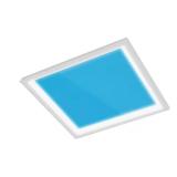 Vista Skylight LED Troffer 5CCT Dimmable