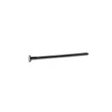 Grip-Rite 40D 5 in. Steel Nail, Flat Head
