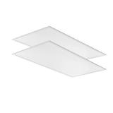 Lithonia LED 2x4 Panel Light (2-Pack)