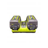 Ryobi 40V Dual Port Rapid Charger + 6Ah Batteries