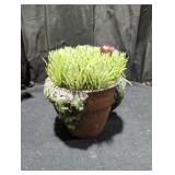 Faux Plant