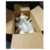 Seashell Box Lot