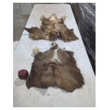 Set of Two Tanned Animal Hides