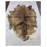 Natural Beaver Pelt