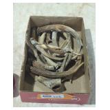 Mixed Collection of Antler Pieces