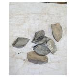 Collection of Vintage Taxidermy Ear Forms
