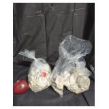 Assorted Seashell Collection in Bags