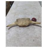 Animal Skull with Horns