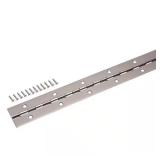 1-1/2 in. x 72 in. Bright Nickel Hinge