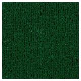 Vantage 12 ft x 100 ft Ivy Green Turf
